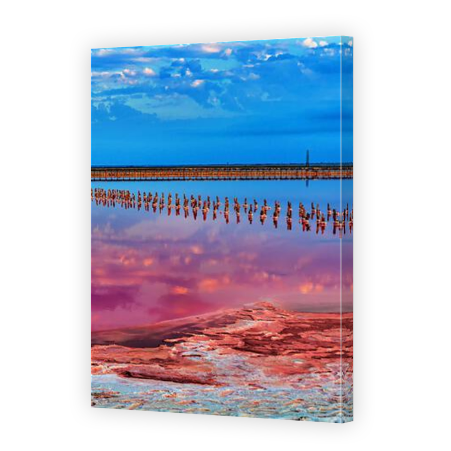Thumbnail for Canvas - Mirror Image Canvas Wrap