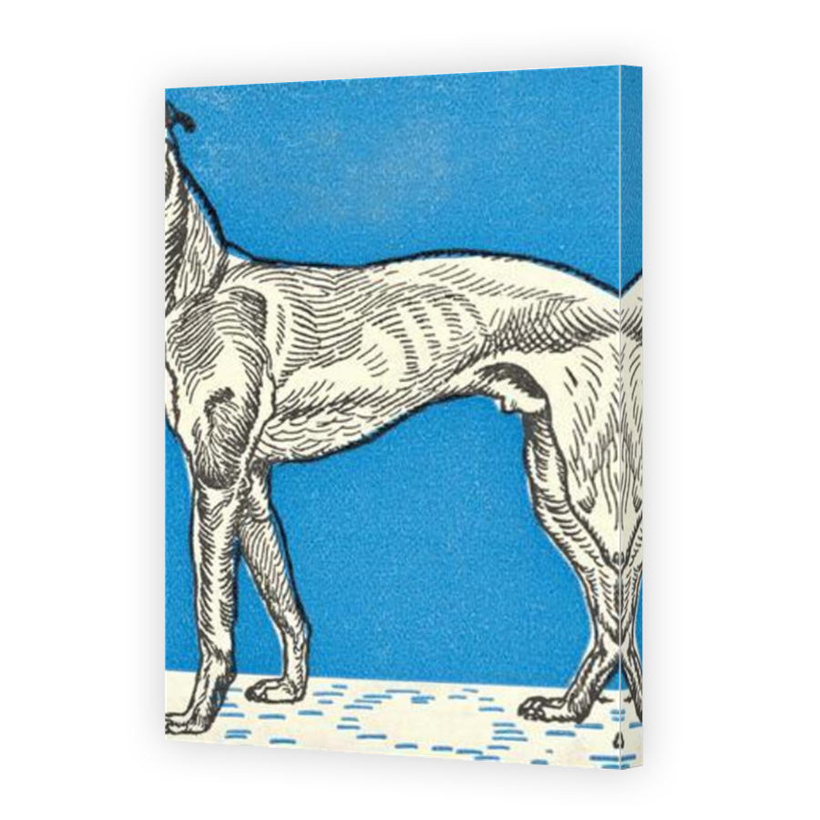 Thumbnail for Canvas - Mirror Image Canvas Wrap