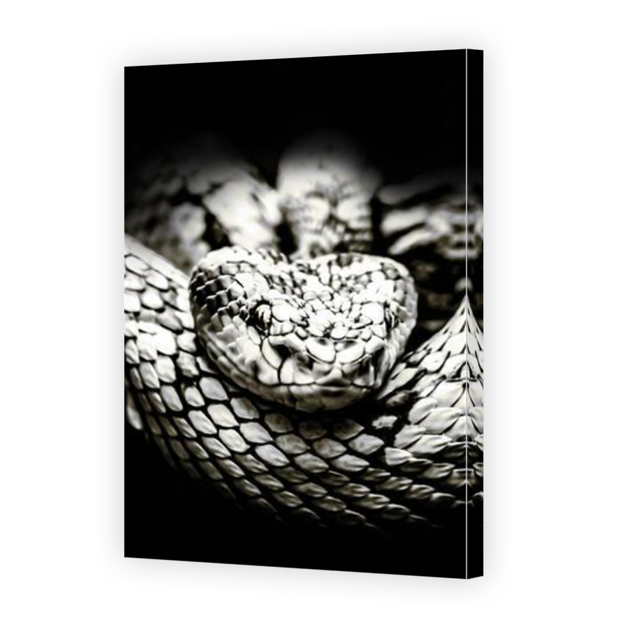 Thumbnail for Canvas - Mirror Image Canvas Wrap