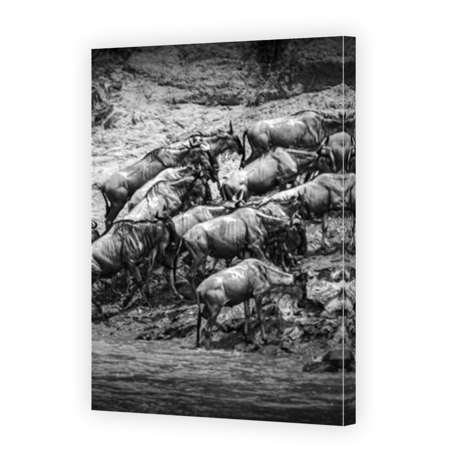 Thumbnail for Canvas - Mirror Image Canvas Wrap