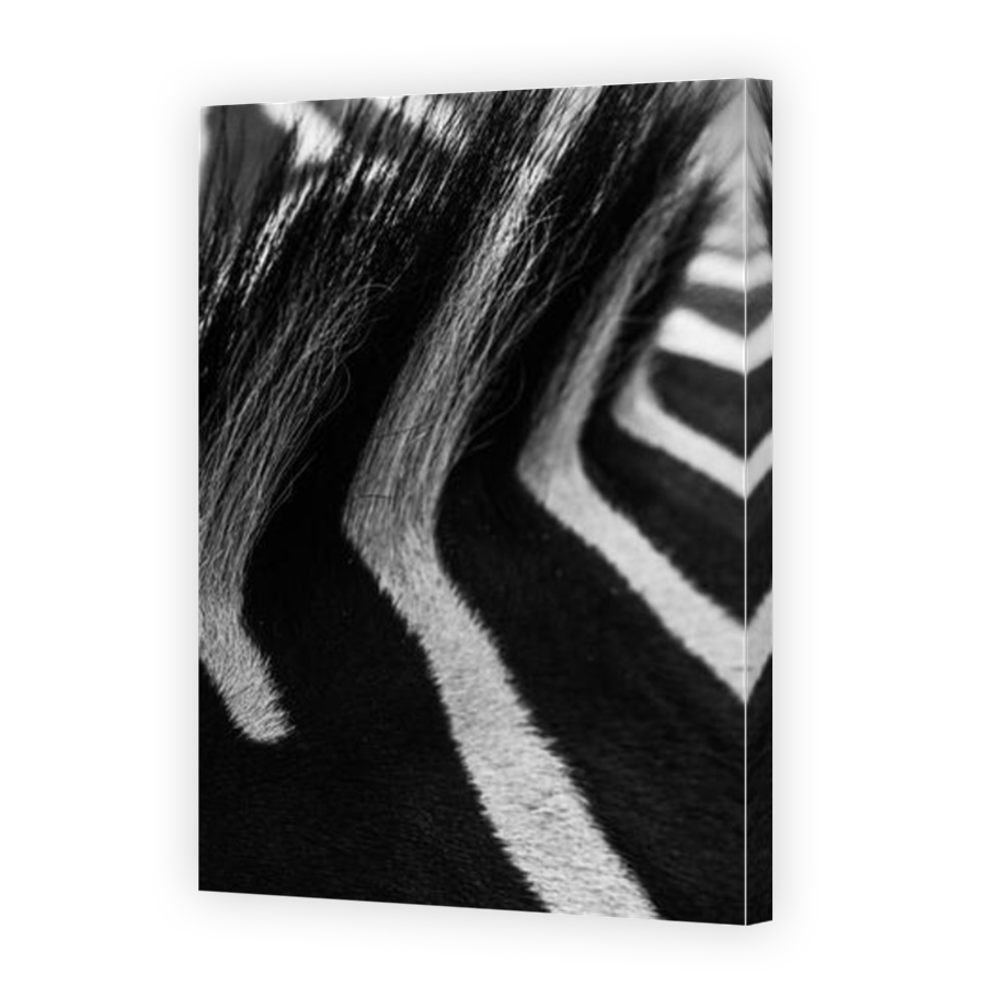 Thumbnail for Canvas - Mirror Image Canvas Wrap