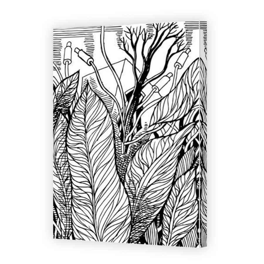 Thumbnail for Canvas - Mirror Image Canvas Wrap