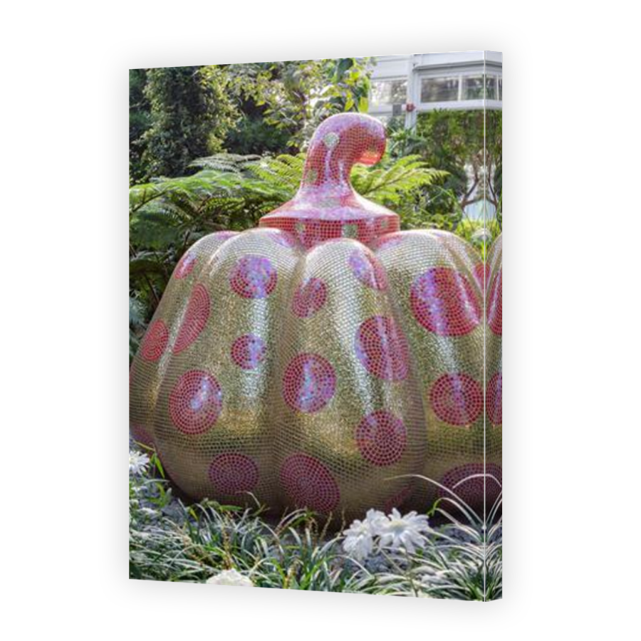 Thumbnail for Canvas - Mirror Image Canvas Wrap