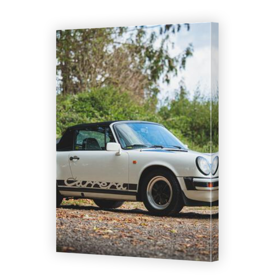 Thumbnail for Canvas - Mirror Image Canvas Wrap