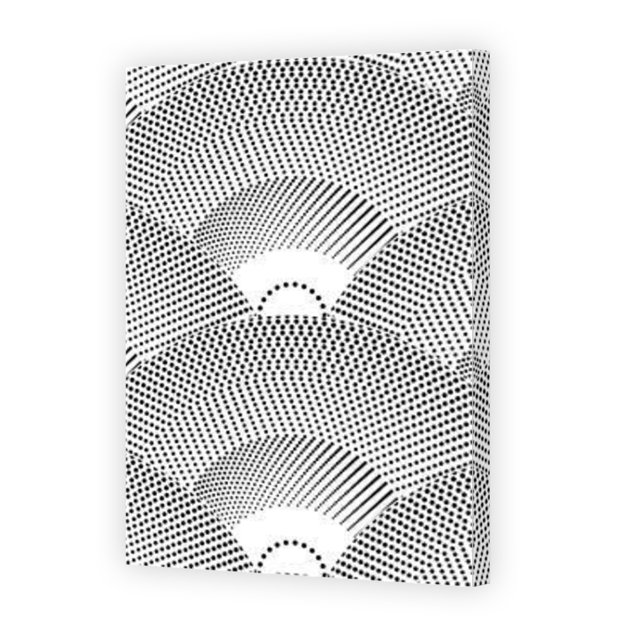 Thumbnail for Canvas - Mirror Image Canvas Wrap