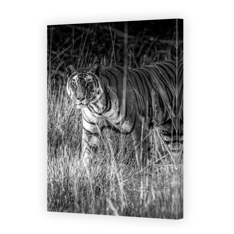 Thumbnail for Canvas - Mirror Image Canvas Wrap