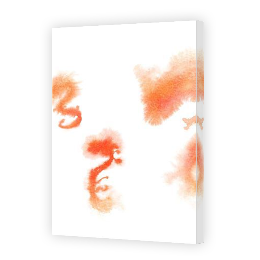 Thumbnail for Canvas - Mirror Image Canvas Wrap