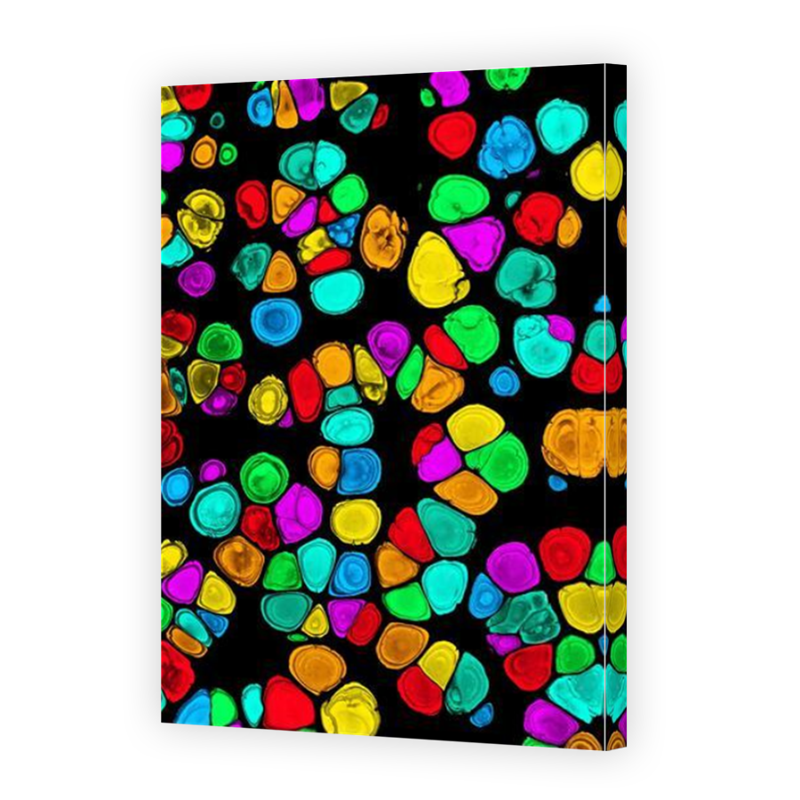 Thumbnail for Canvas - Mirror Image Canvas Wrap