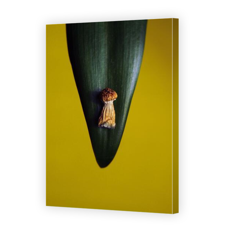 Thumbnail for Canvas - Mirror Image Canvas Wrap