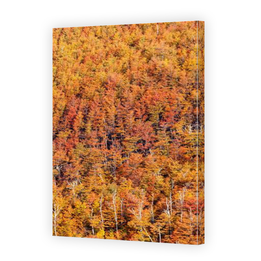 Thumbnail for Canvas - Mirror Image Canvas Wrap