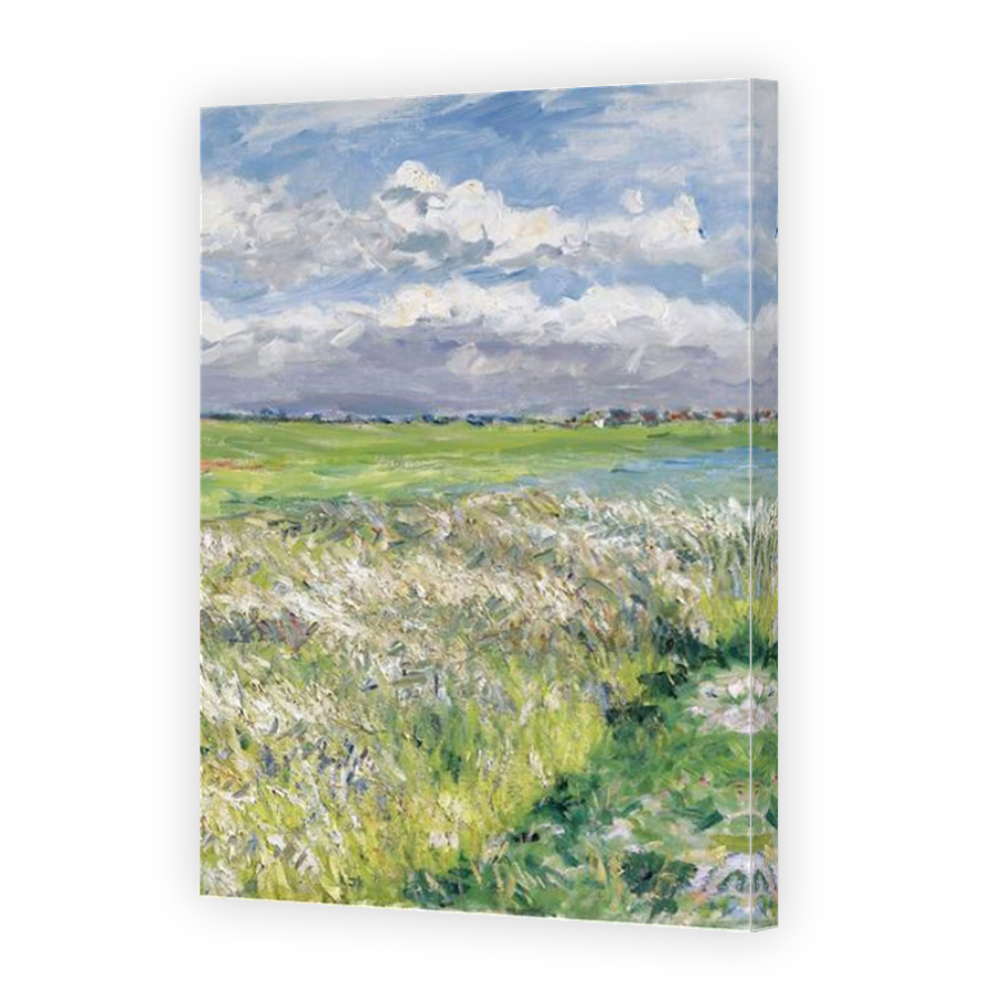 Thumbnail for Canvas - Mirror Image Canvas Wrap