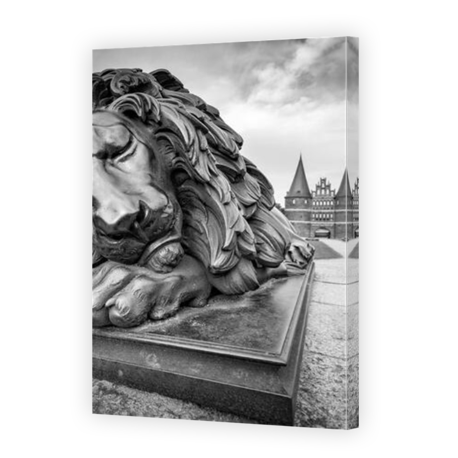 Thumbnail for Canvas - Mirror Image Canvas Wrap