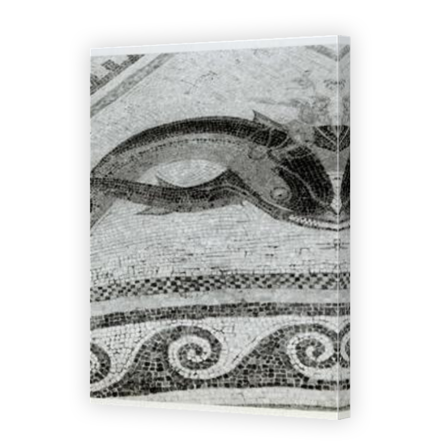 Thumbnail for Canvas - Mirror Image Canvas Wrap