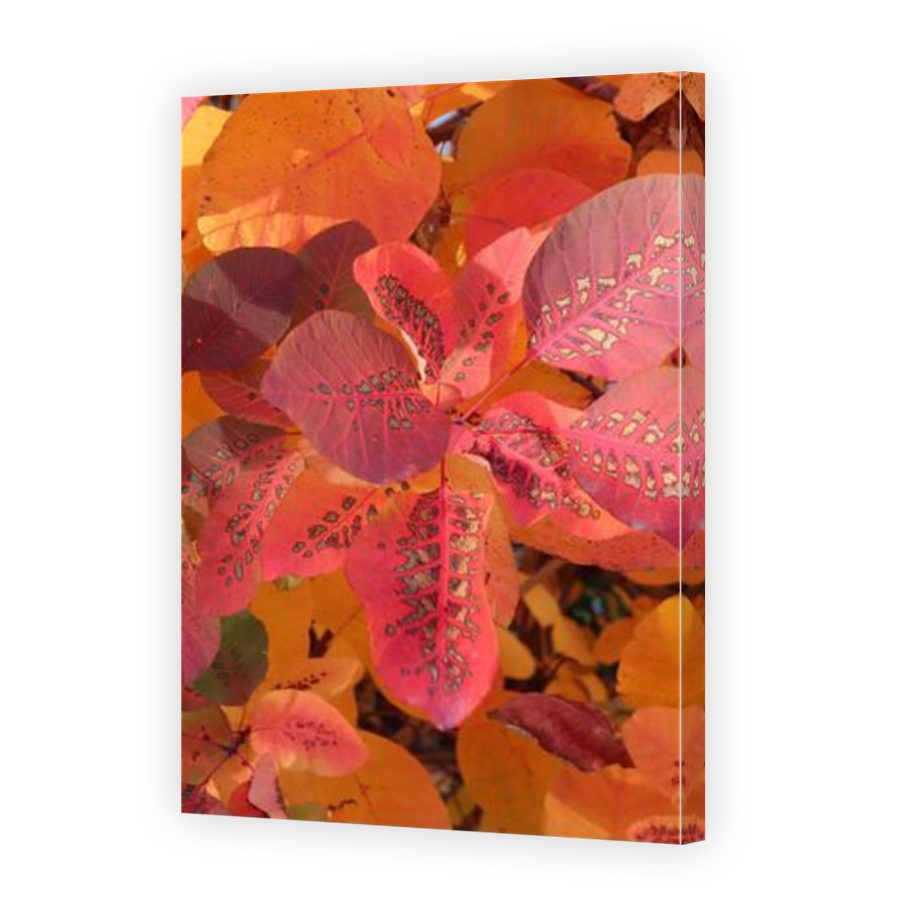 Thumbnail for Canvas - Mirror Image Canvas Wrap