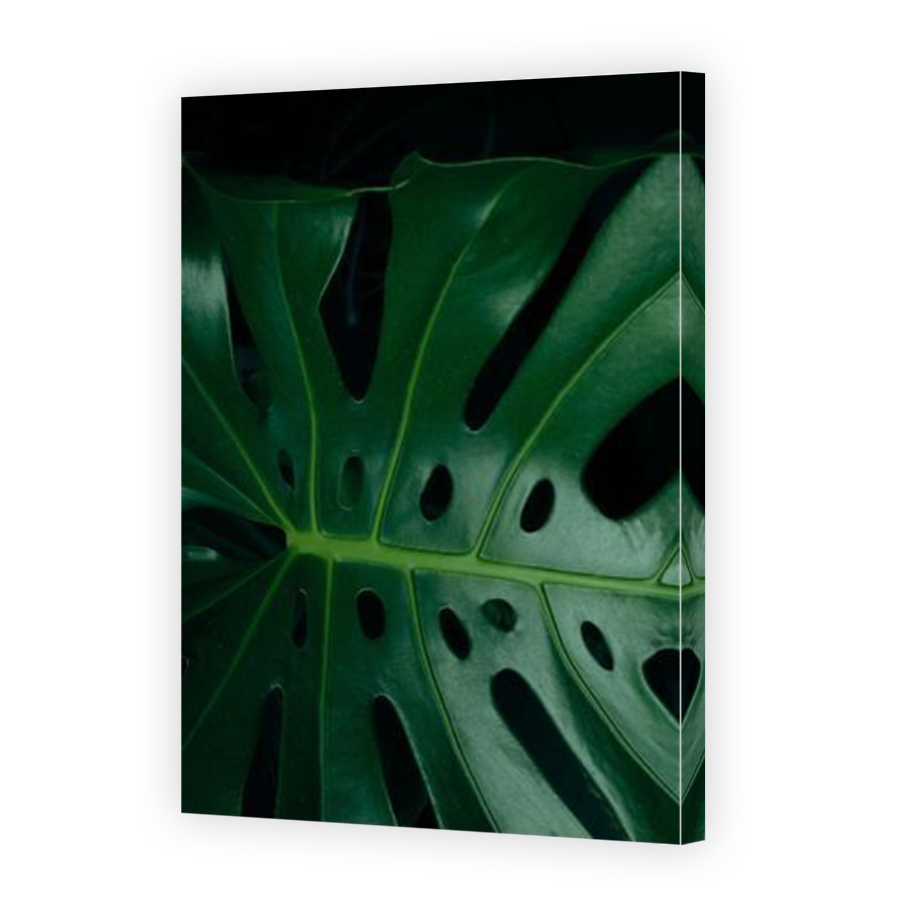 Thumbnail for Canvas - Mirror Image Canvas Wrap