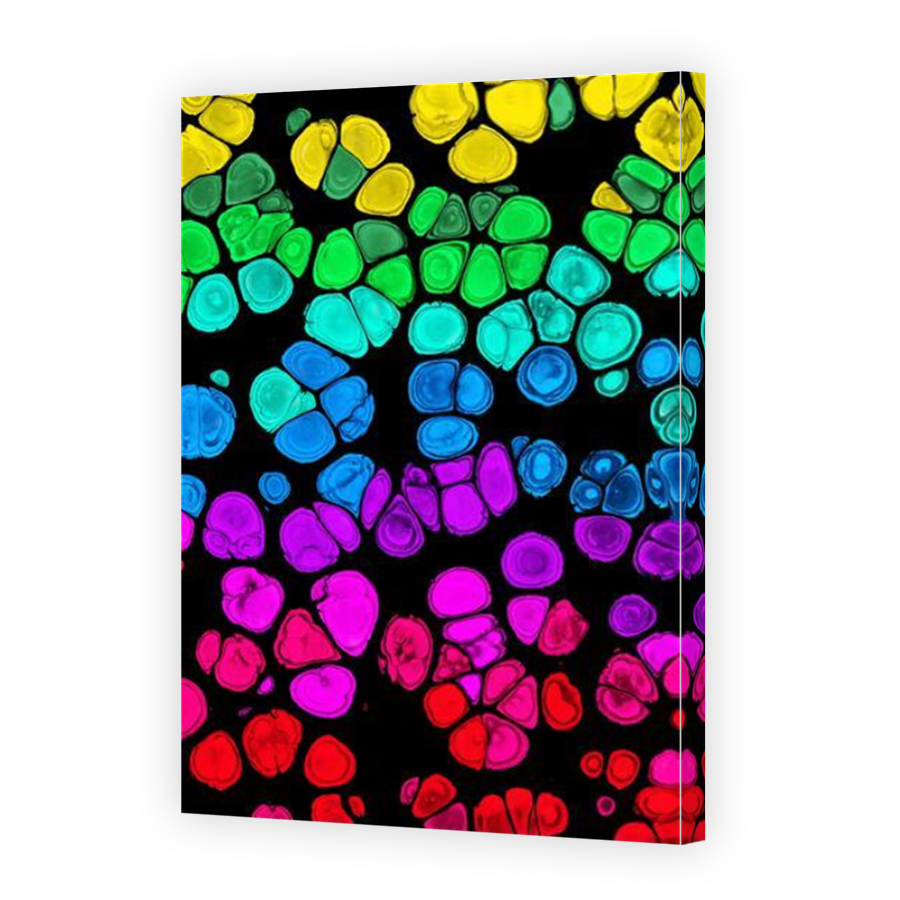 Thumbnail for Canvas - Mirror Image Canvas Wrap