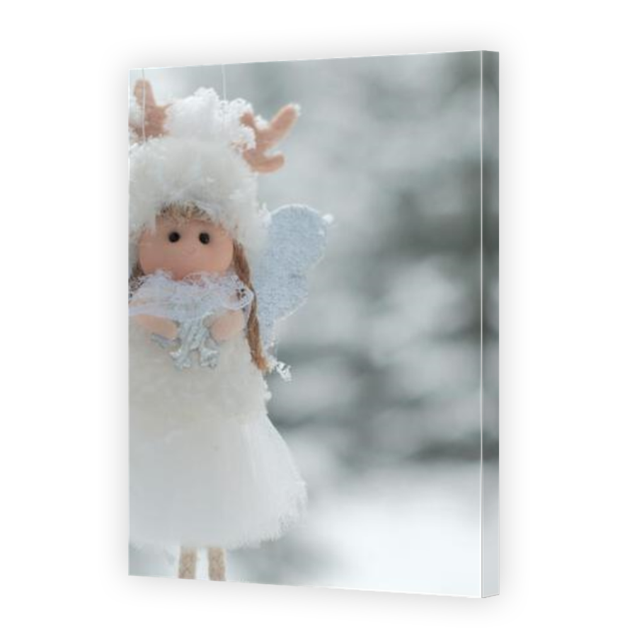 Thumbnail for Canvas - Mirror Image Canvas Wrap
