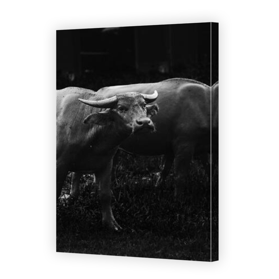 Thumbnail for Canvas - Mirror Image Canvas Wrap