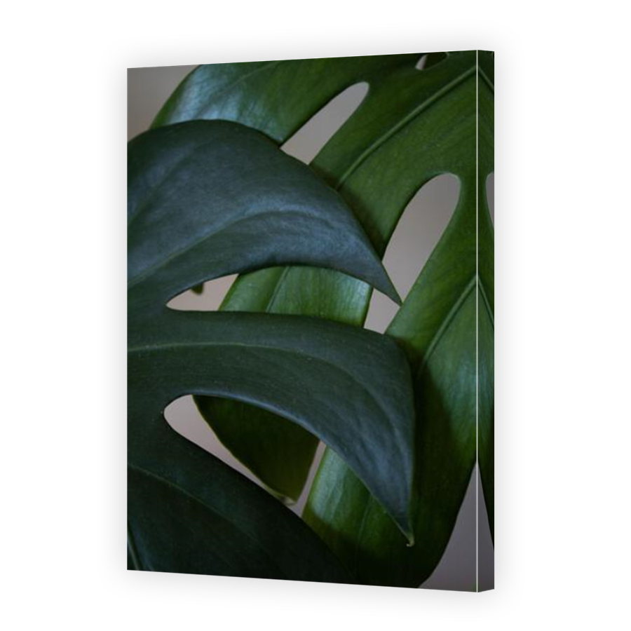 Thumbnail for Canvas - Mirror Image Canvas Wrap