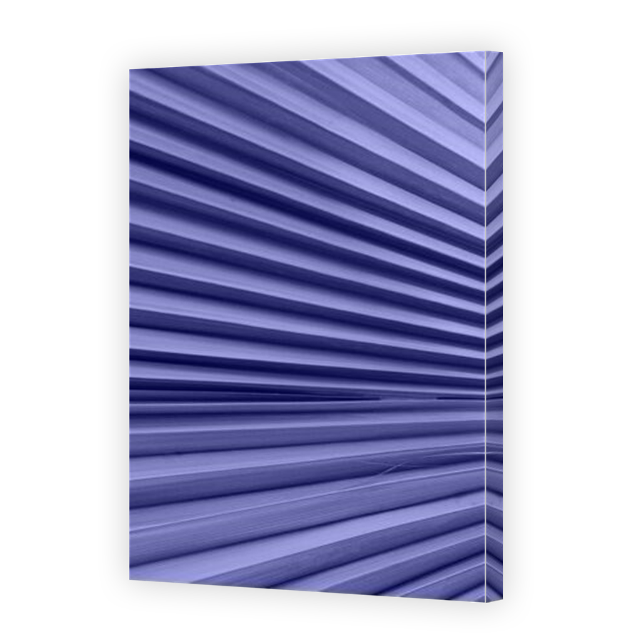 Thumbnail for Canvas - Mirror Image Canvas Wrap