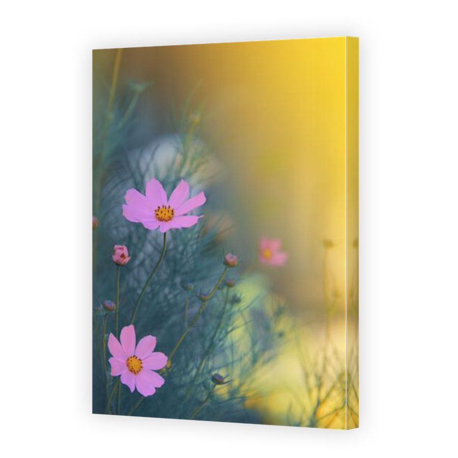Thumbnail for Canvas - Mirror Image Canvas Wrap