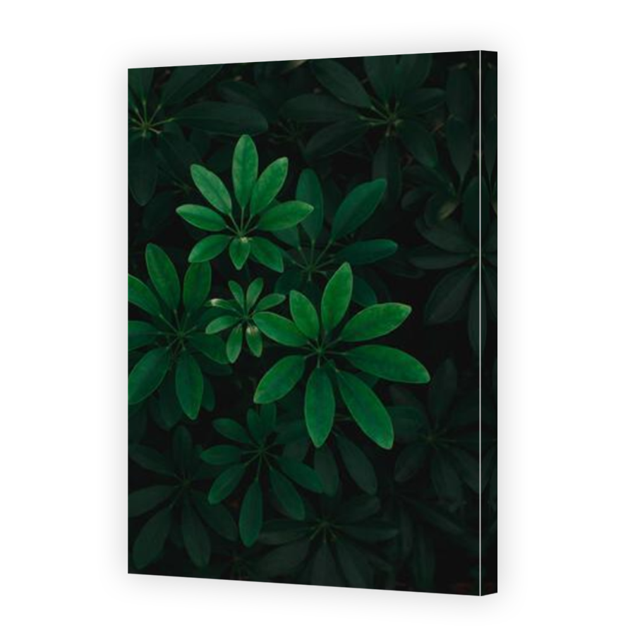 Thumbnail for Canvas - Mirror Image Canvas Wrap