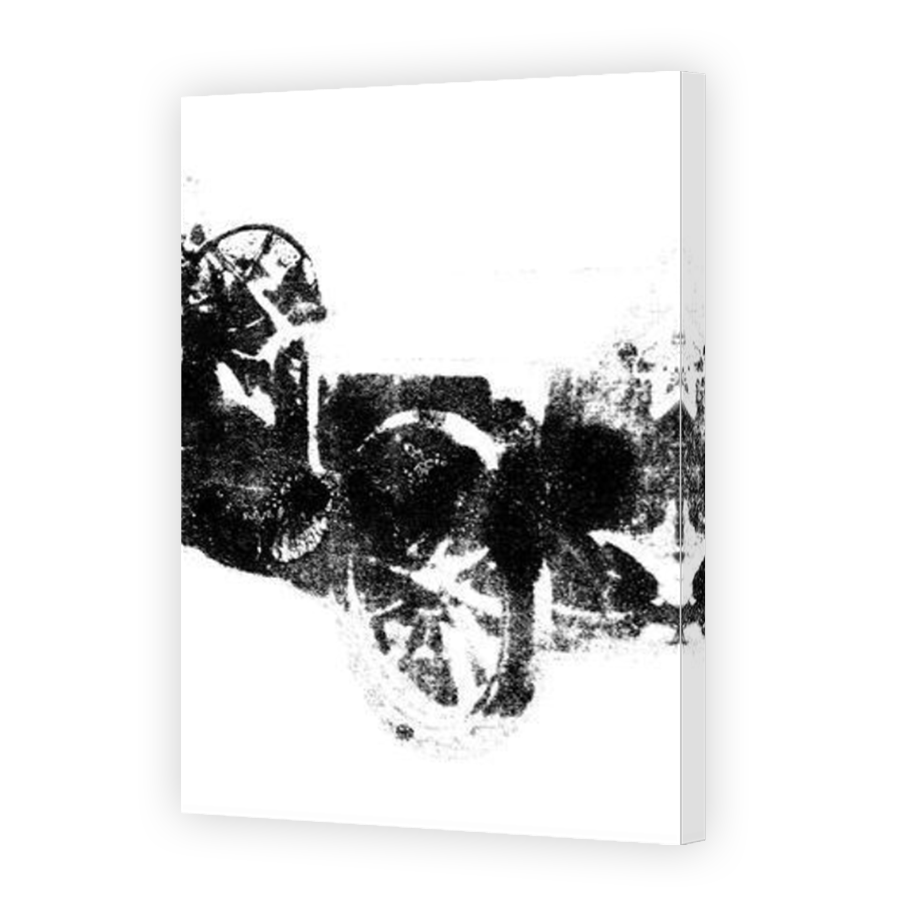 Thumbnail for Canvas - Mirror Image Canvas Wrap