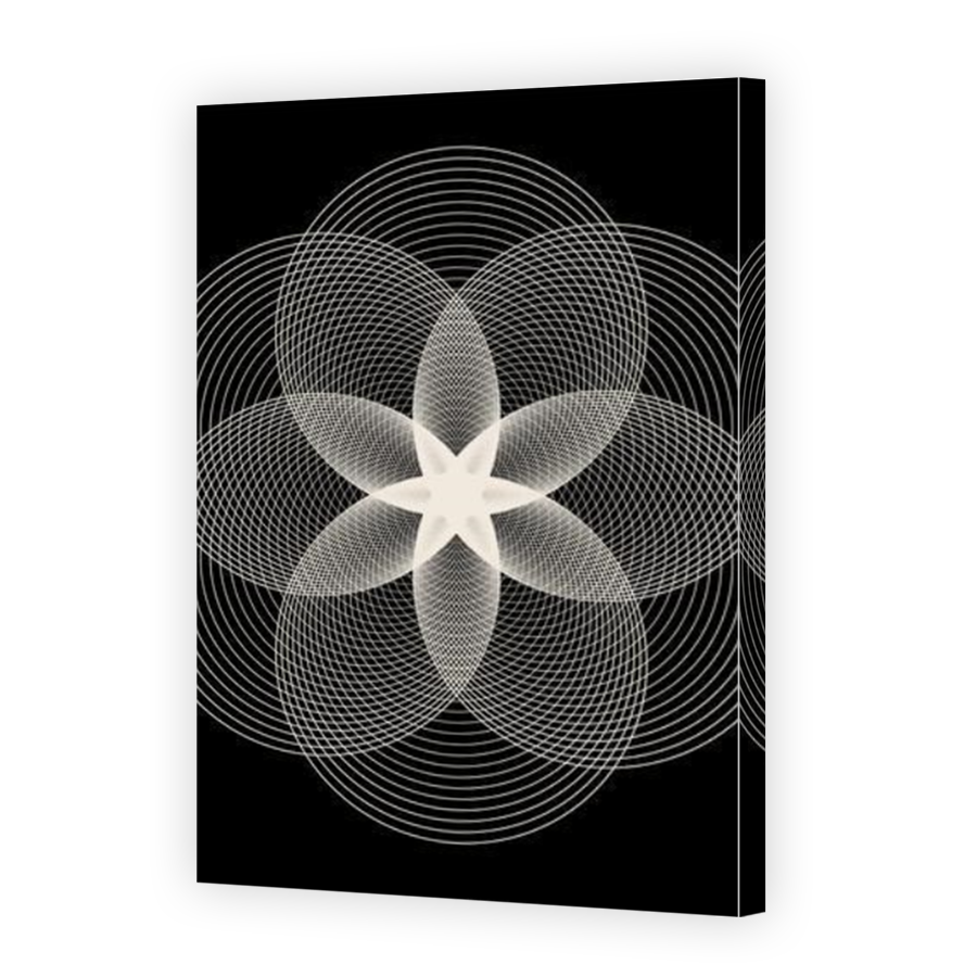 Thumbnail for Canvas - Mirror Image Canvas Wrap