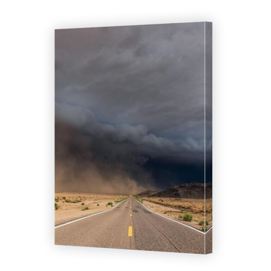 Thumbnail for Canvas - Mirror Image Canvas Wrap