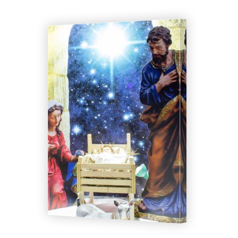 Thumbnail for Canvas - Mirror Image Canvas Wrap