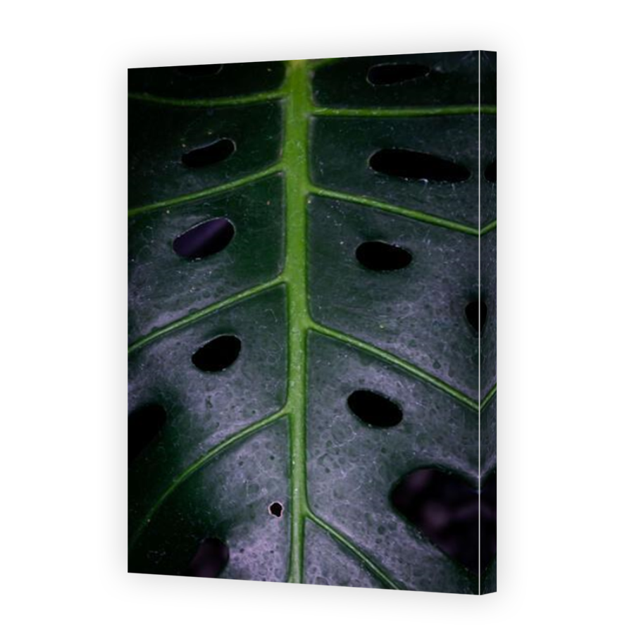 Thumbnail for Canvas - Mirror Image Canvas Wrap
