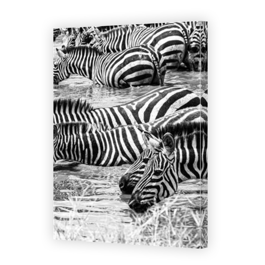 Thumbnail for Canvas - Mirror Image Canvas Wrap