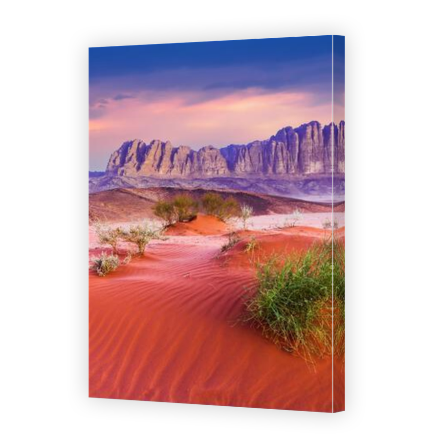 Thumbnail for Canvas - Mirror Image Canvas Wrap