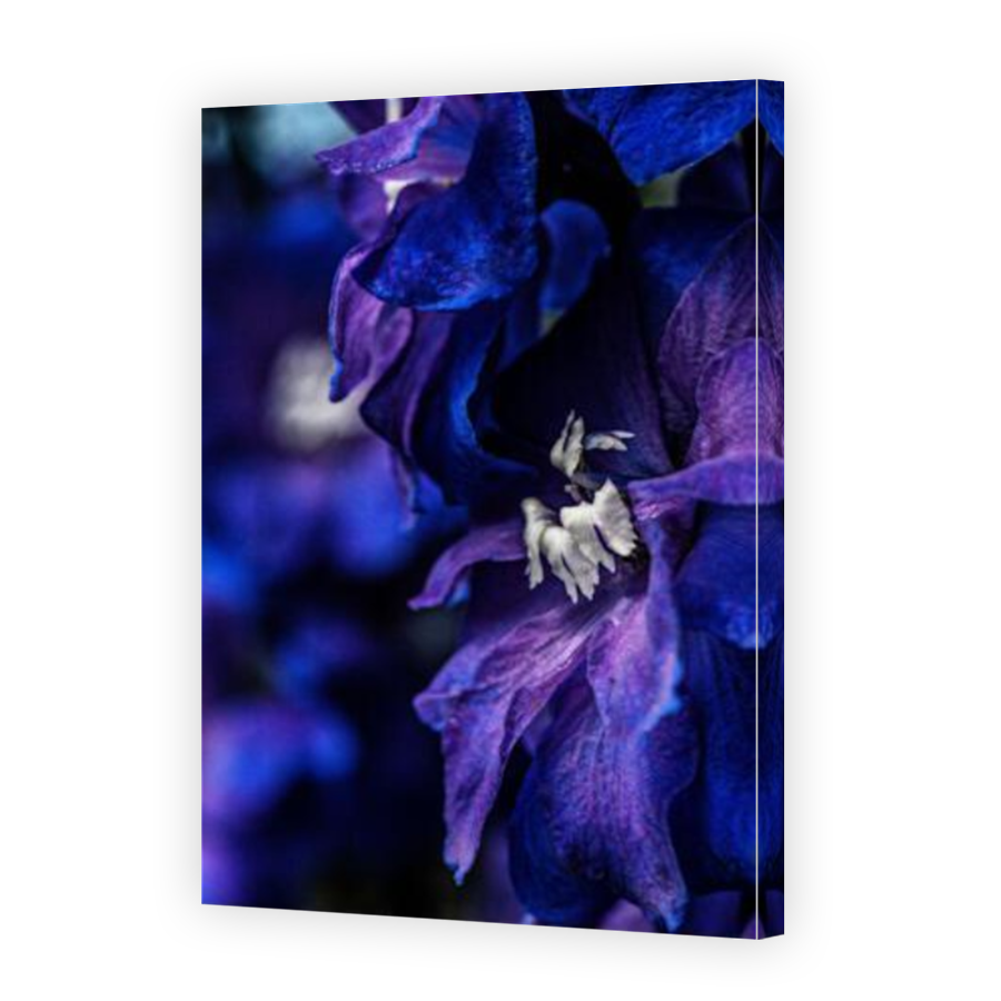 Thumbnail for Canvas - Mirror Image Canvas Wrap