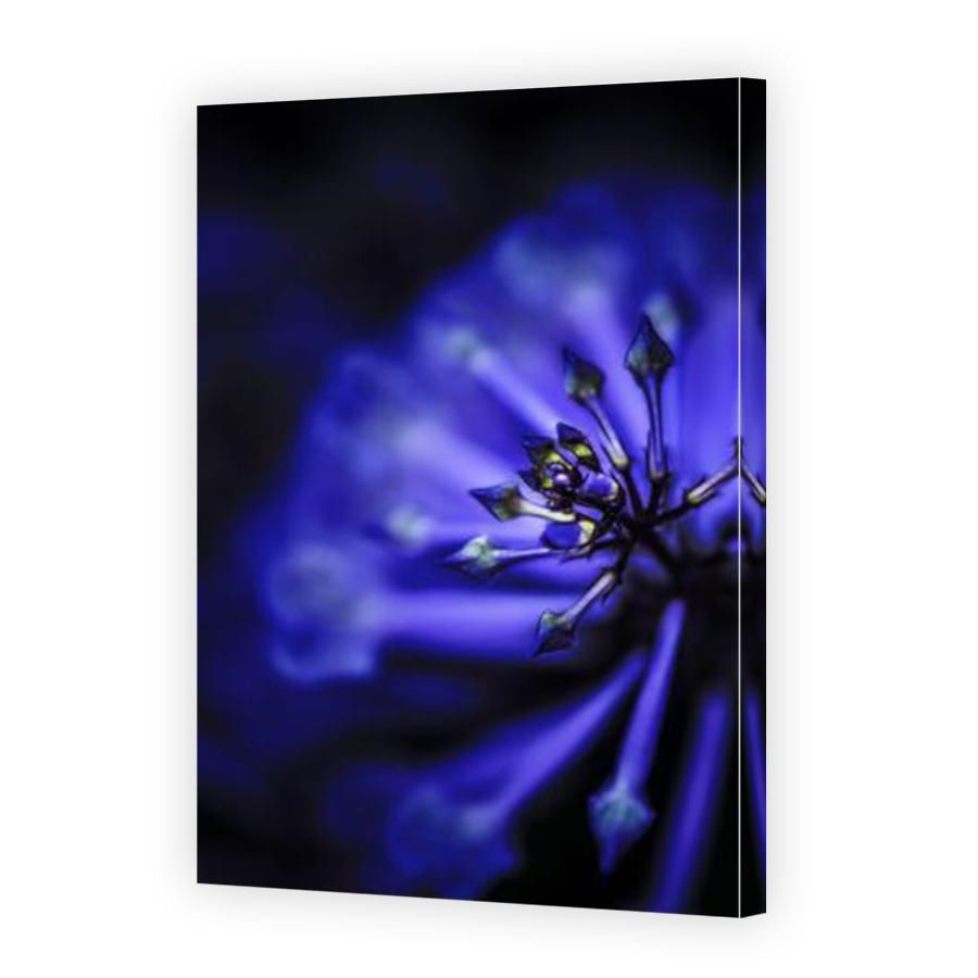Thumbnail for Canvas - Mirror Image Canvas Wrap