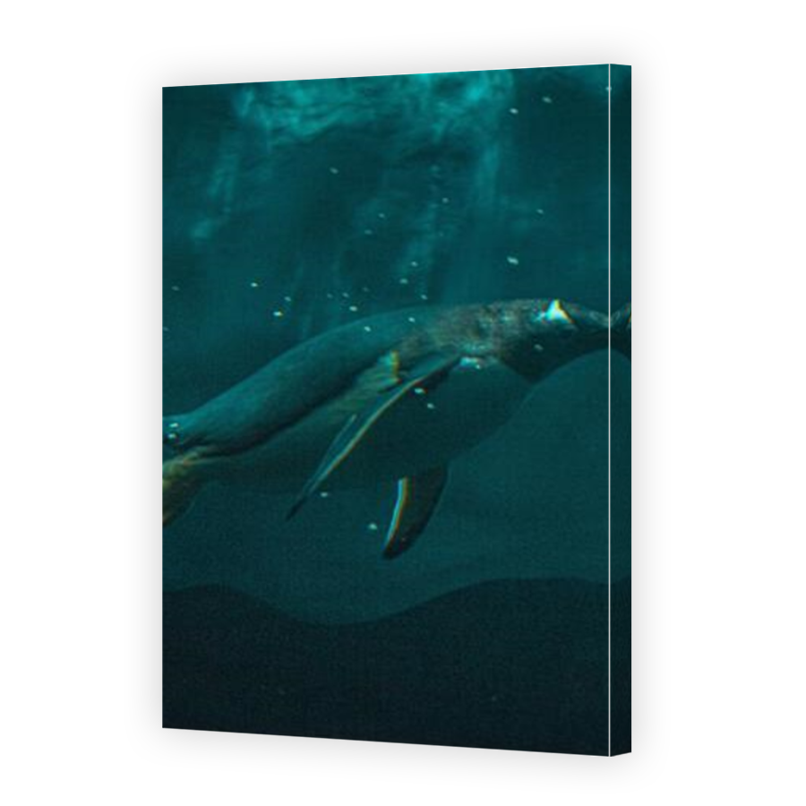 Thumbnail for Canvas - Mirror Image Canvas Wrap