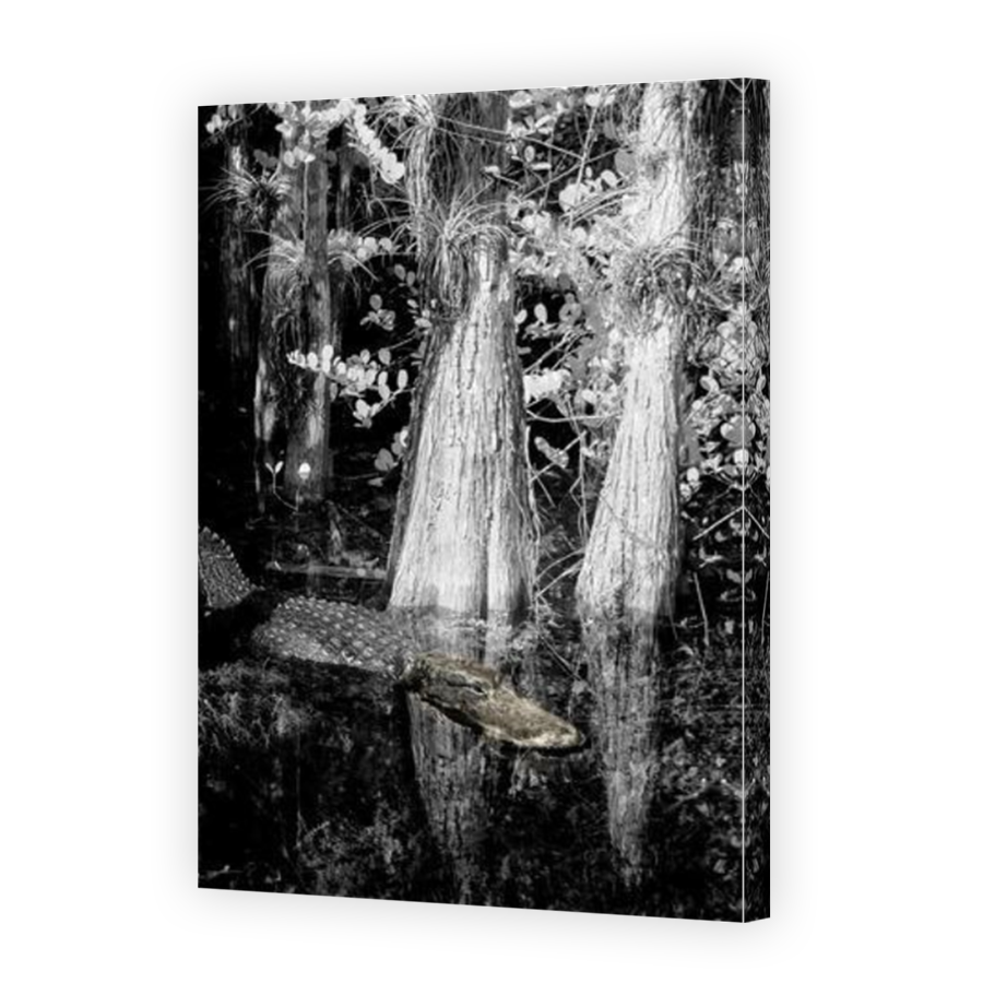 Thumbnail for Canvas - Mirror Image Canvas Wrap