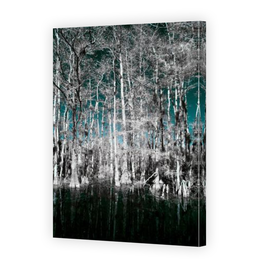 Thumbnail for Canvas - Mirror Image Canvas Wrap