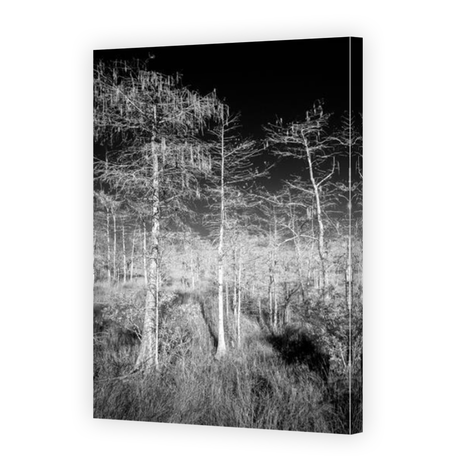 Thumbnail for Canvas - Mirror Image Canvas Wrap