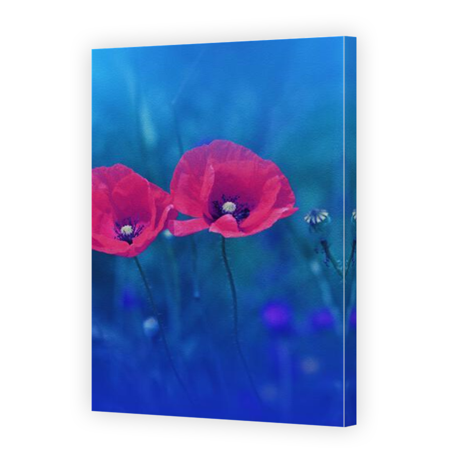 Thumbnail for Canvas - Mirror Image Canvas Wrap