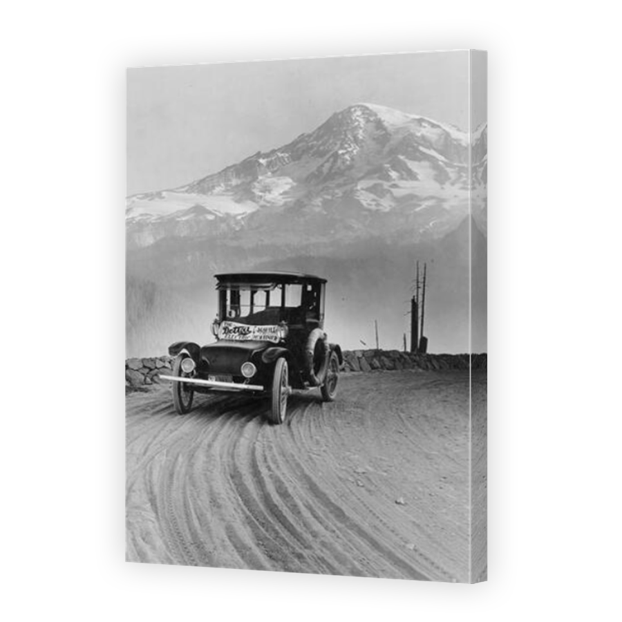 Thumbnail for Canvas - Mirror Image Canvas Wrap
