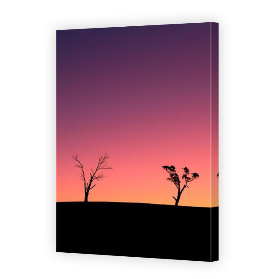 Thumbnail for Canvas - Mirror Image Canvas Wrap
