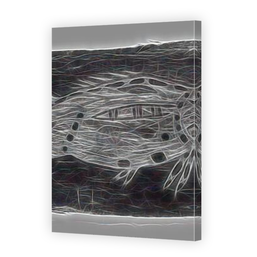 Thumbnail for Canvas - Mirror Image Canvas Wrap