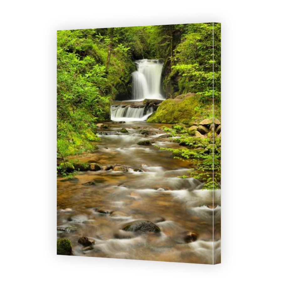 Thumbnail for Canvas - Mirror Image Canvas Wrap