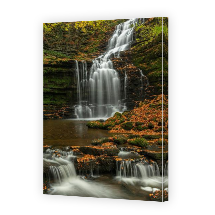 Thumbnail for Canvas - Mirror Image Canvas Wrap