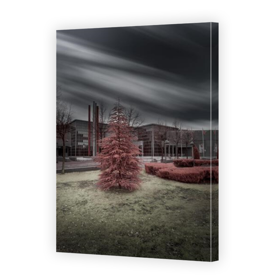 Thumbnail for Canvas - Mirror Image Canvas Wrap