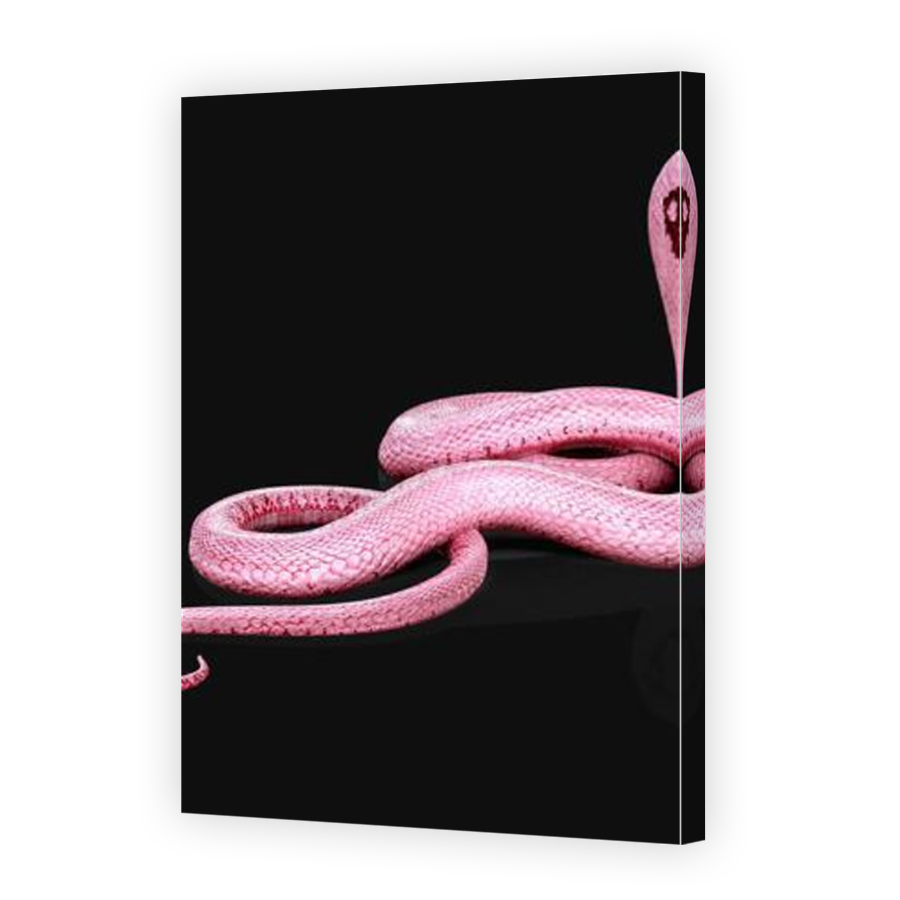 Thumbnail for Canvas - Mirror Image Canvas Wrap