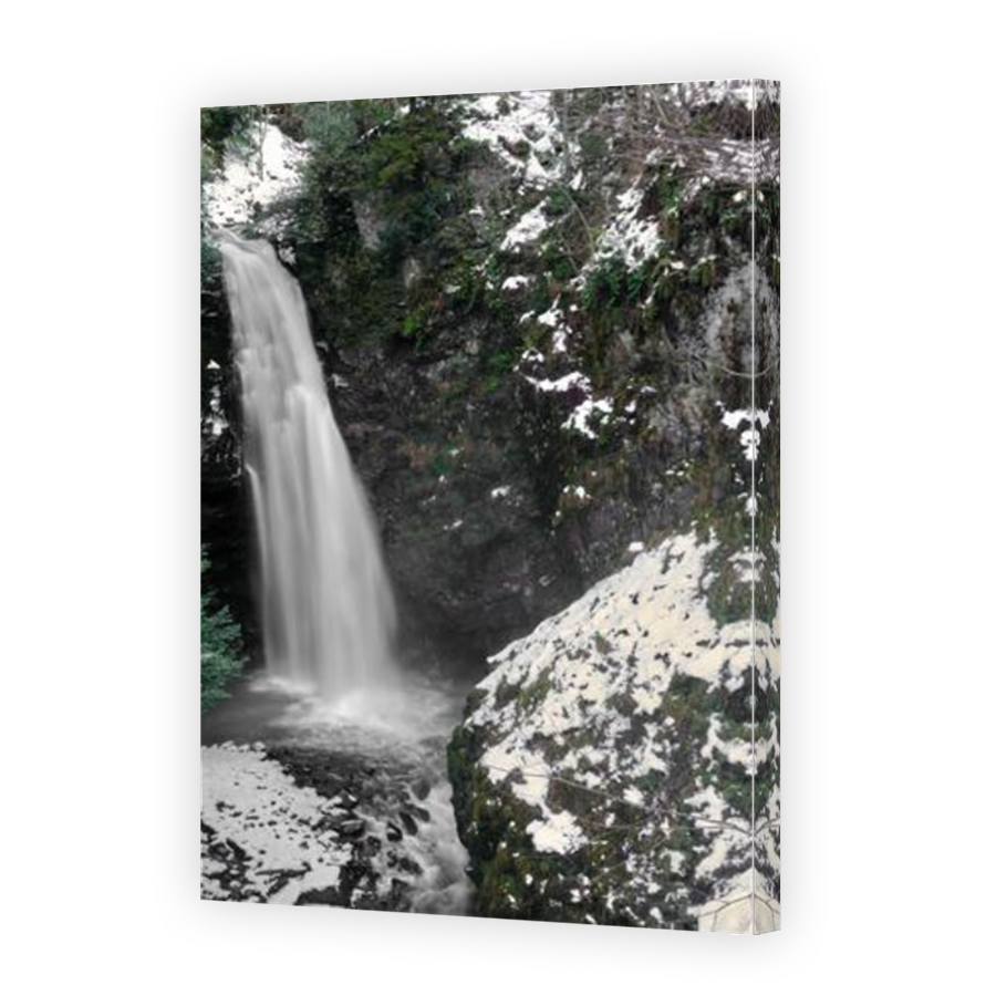 Thumbnail for Canvas - Mirror Image Canvas Wrap