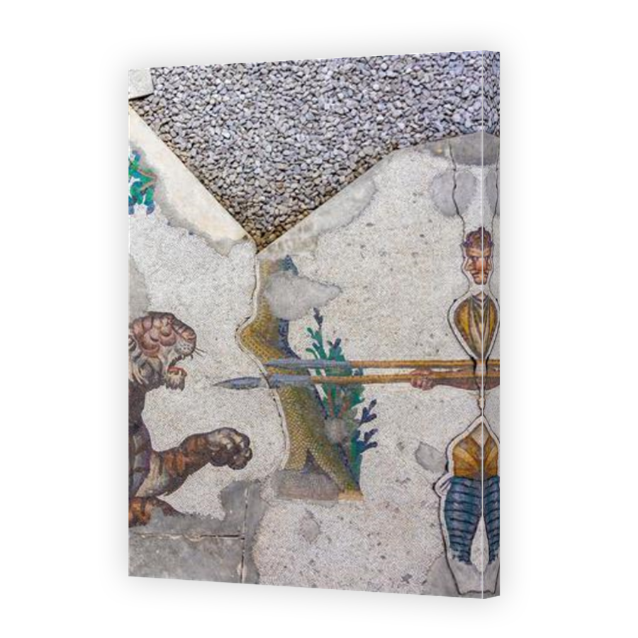 Thumbnail for Canvas - Mirror Image Canvas Wrap