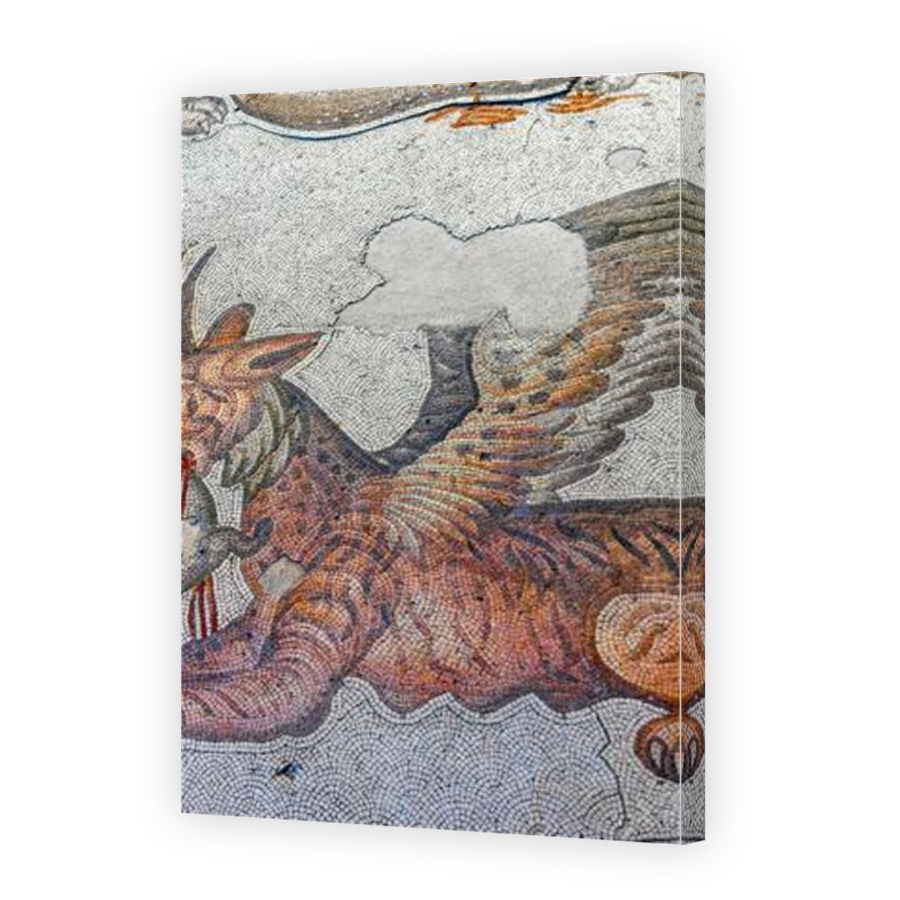 Thumbnail for Canvas - Mirror Image Canvas Wrap